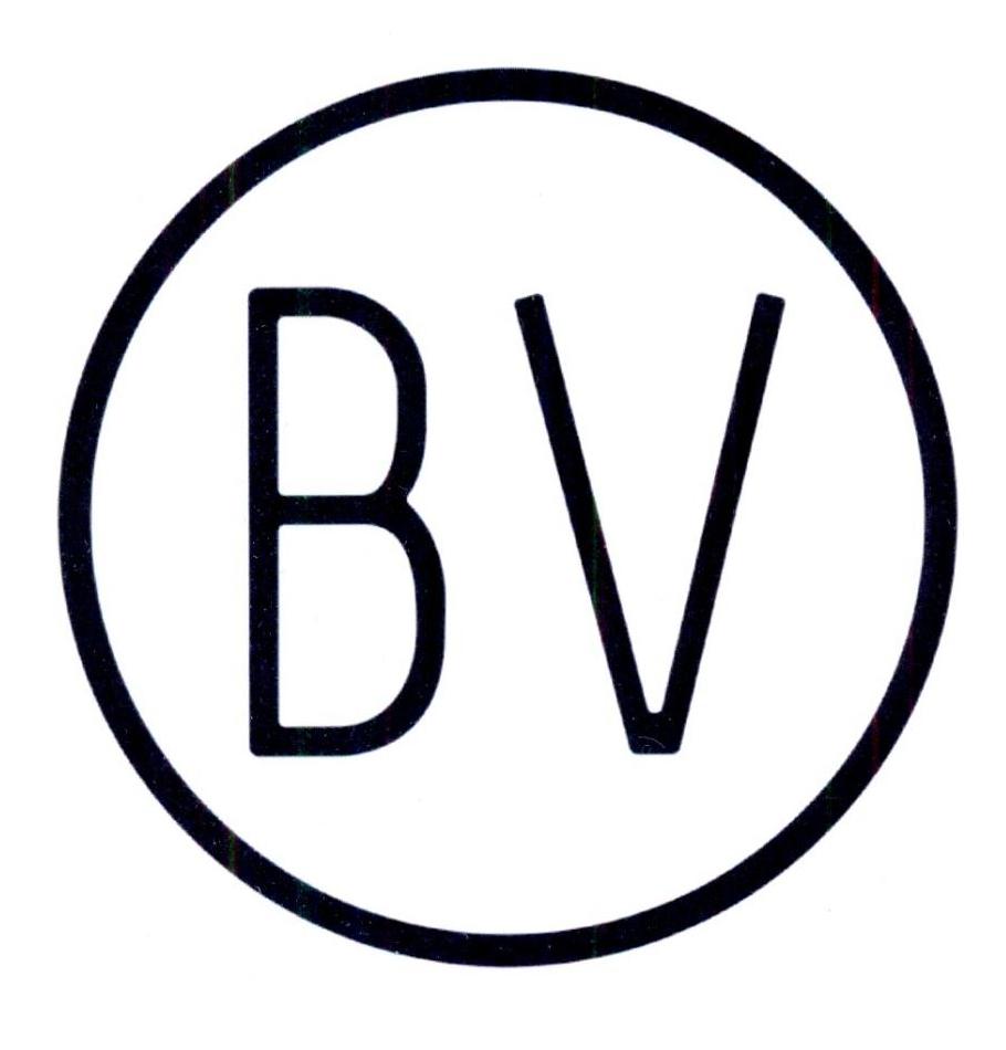 bv_注册号60732582_商标注册查询 - 天眼查
