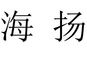 嗨漾