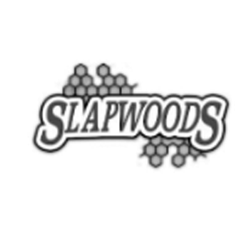 莫宗富商标SLAPWOODS（03类）多少钱？