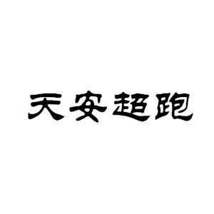 天安炫车咖(成都)汽车租赁服务有限公司