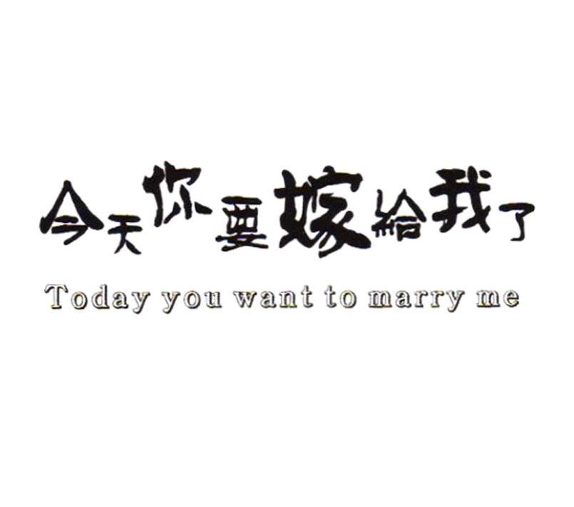 今天你要嫁給我了 today you want to marry me