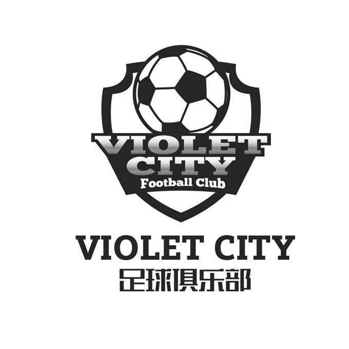 天津蓝杉体育文化发展有限公司