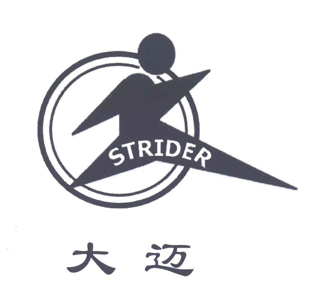 大迈_注册号19434029_商标注册查询 - 天眼查