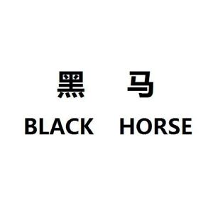 黑马;black horse