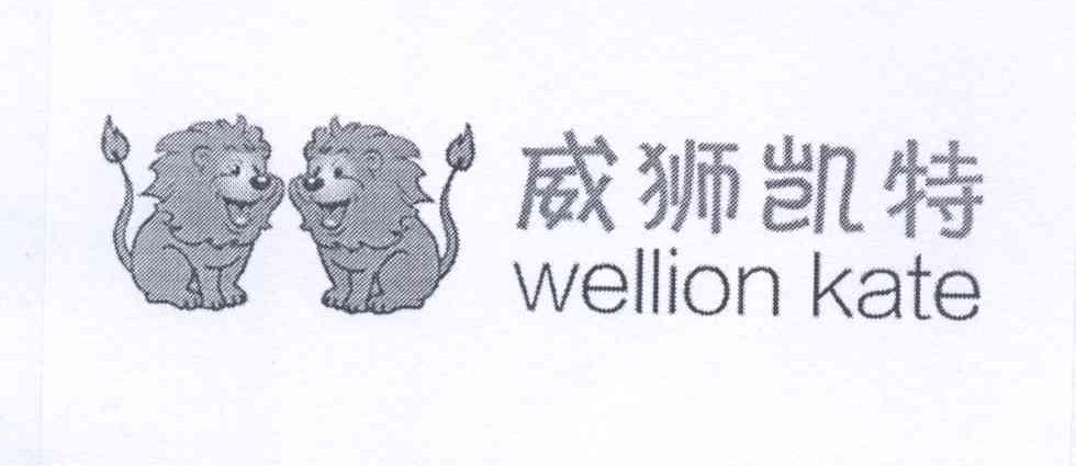 威狮凯特 wellion kate