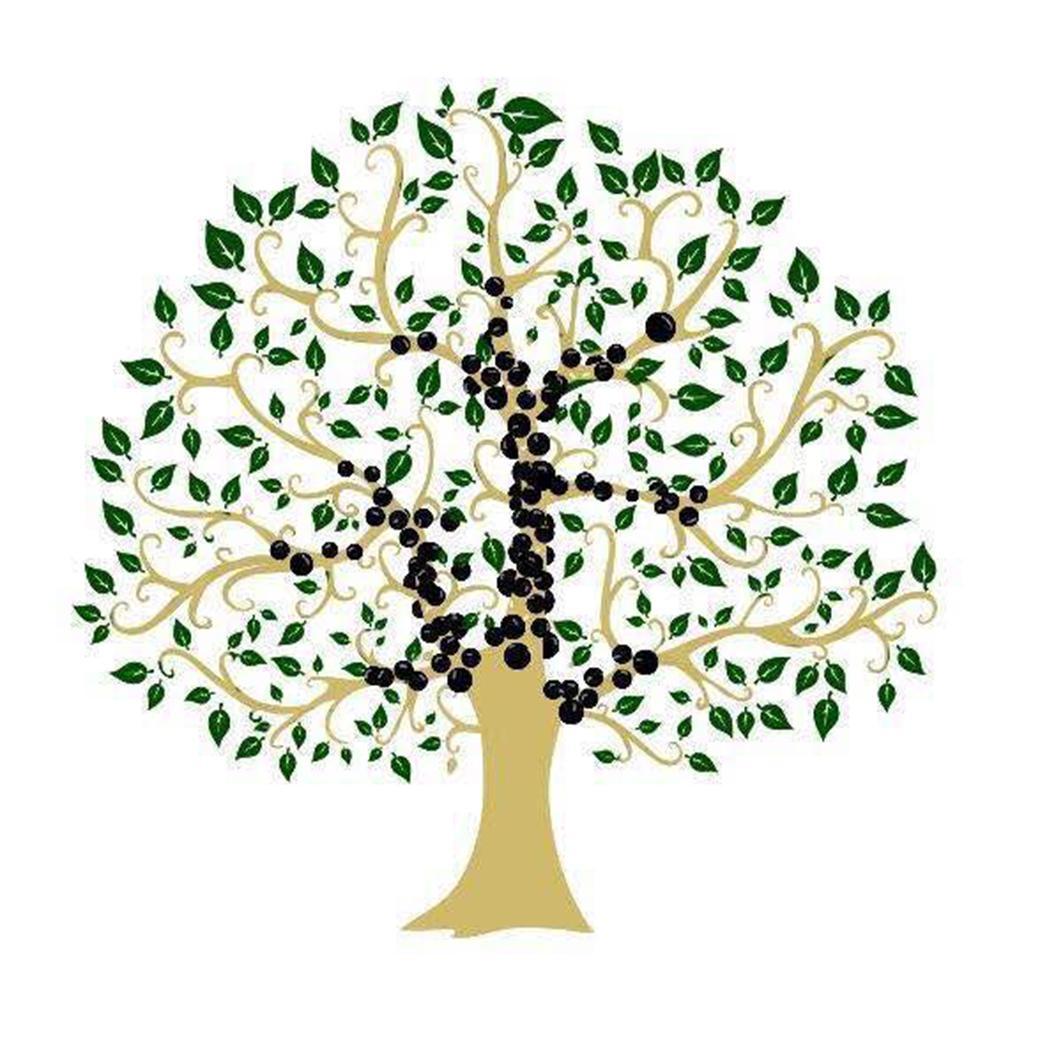 广东珍宝果实业有限公司