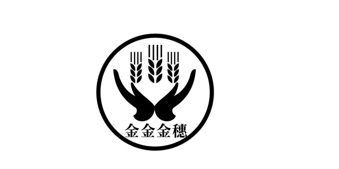 农银金穗满堂年金保险 金穗满堂保险
