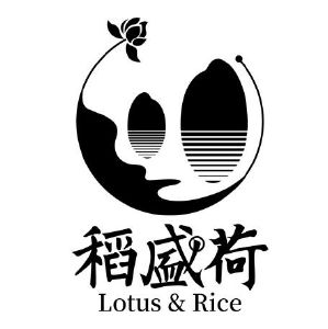 稻盛荷;lotus rice