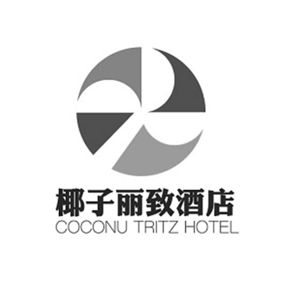 椰子丽致酒店;coconu tritz hotel