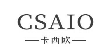 卡西欧;csaio