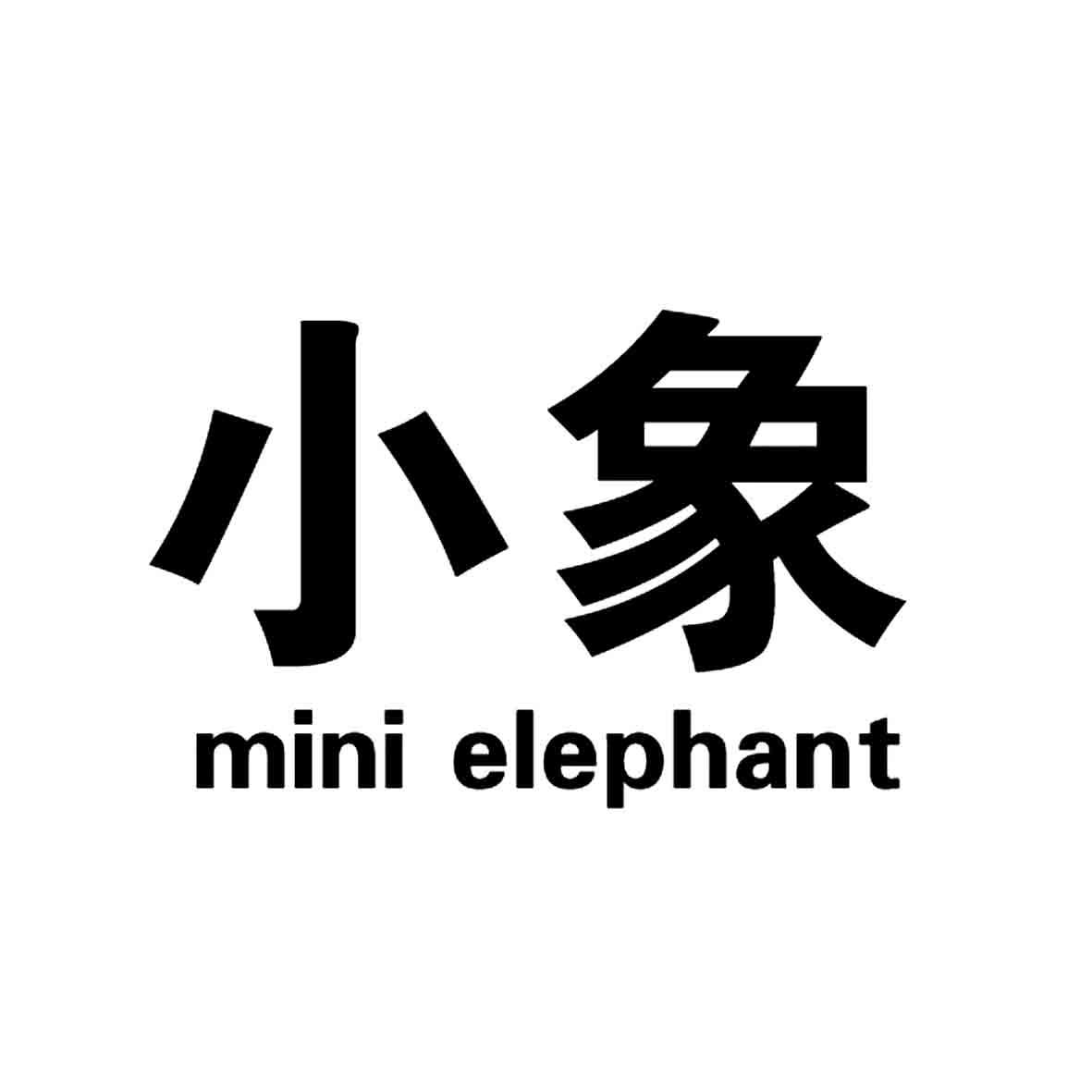 em 小象 /em  mini elephant