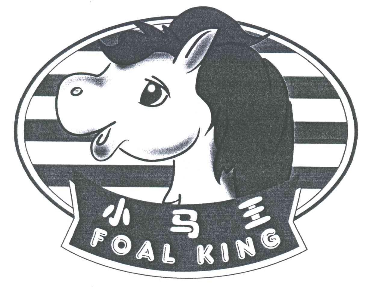 小马王;foal king