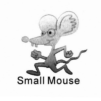  em>small /em> mouse