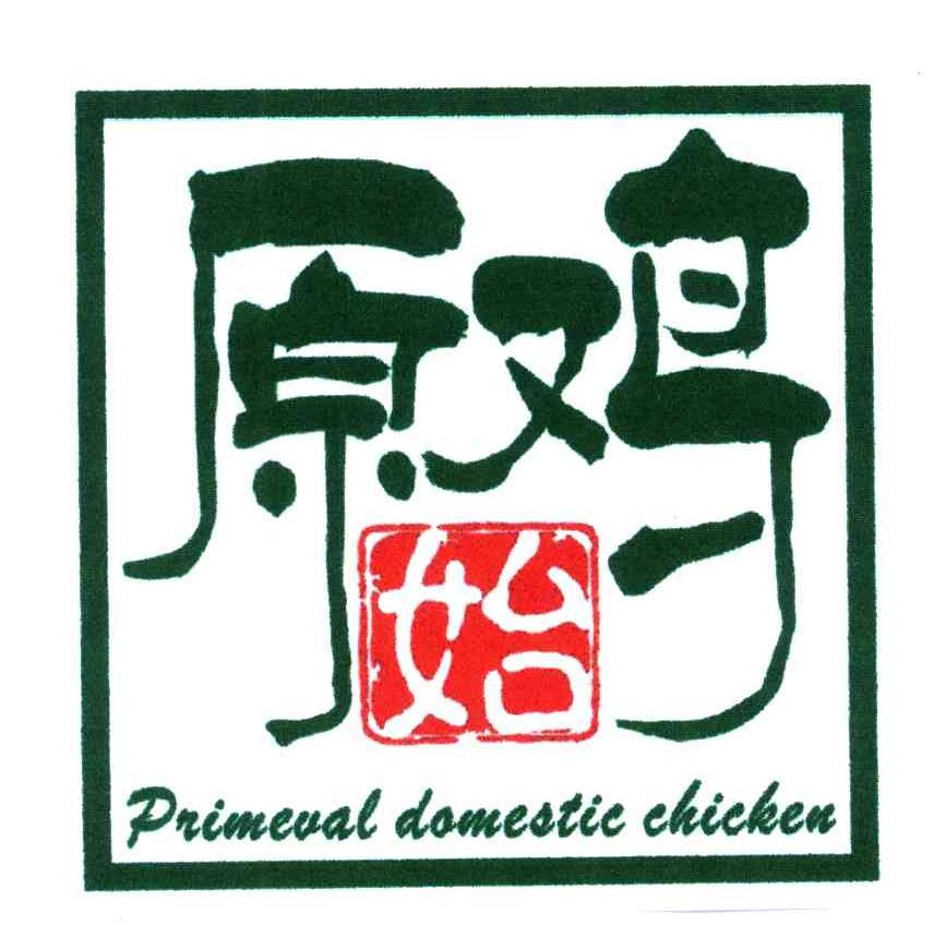 原始鸡;pnimeval domestie chicken