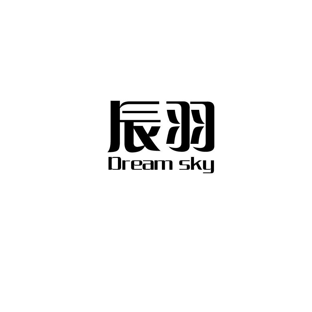 辰羽dream sky