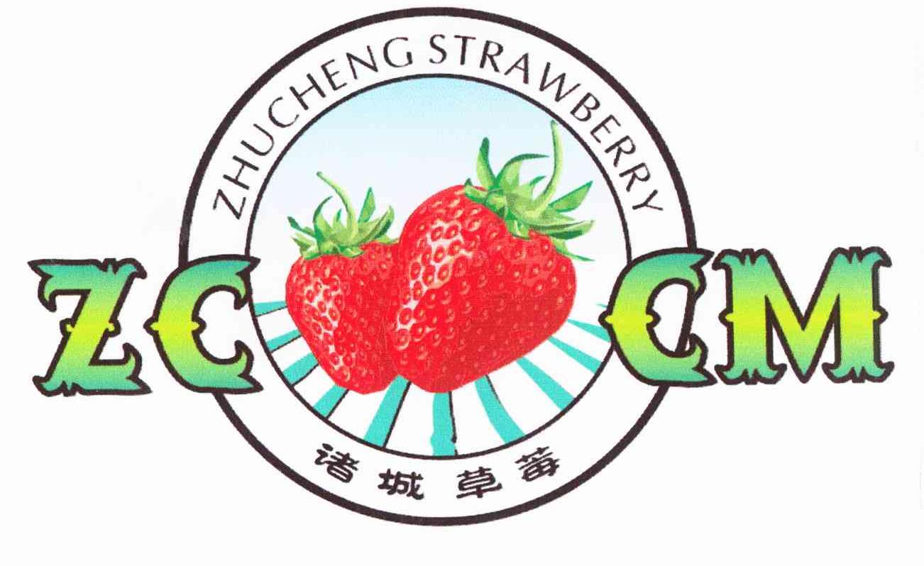 诸城草莓 zc cm zhucheng strawberry
