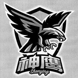 中复神鹰跌321%成交额1102亿元近5日主力净流入-246亿