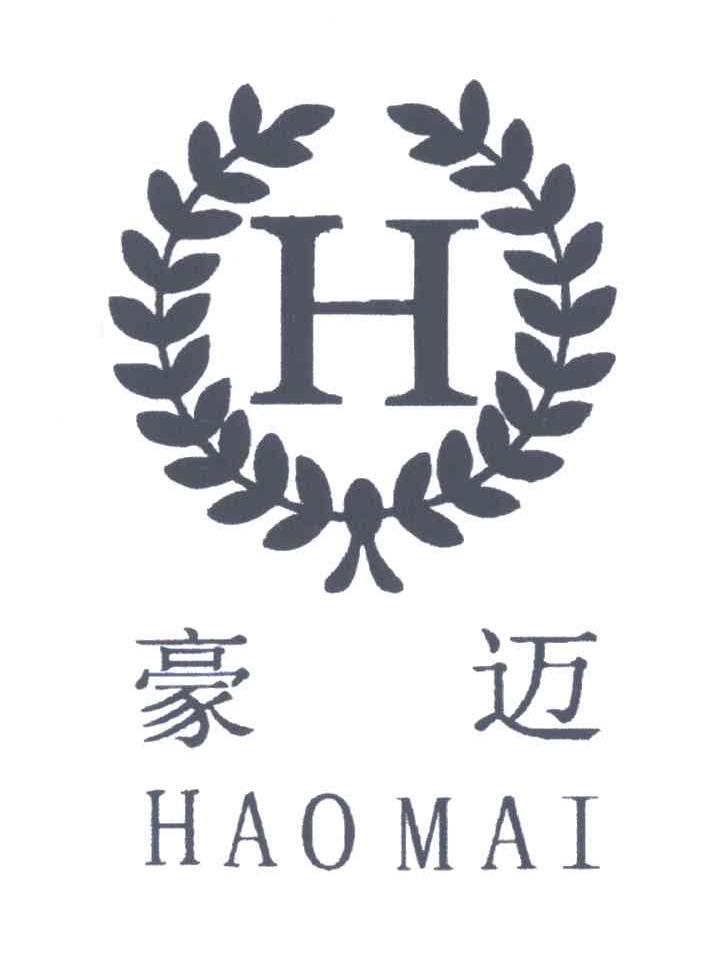 豪迈;h