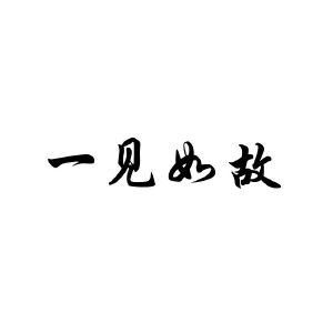 一见如故