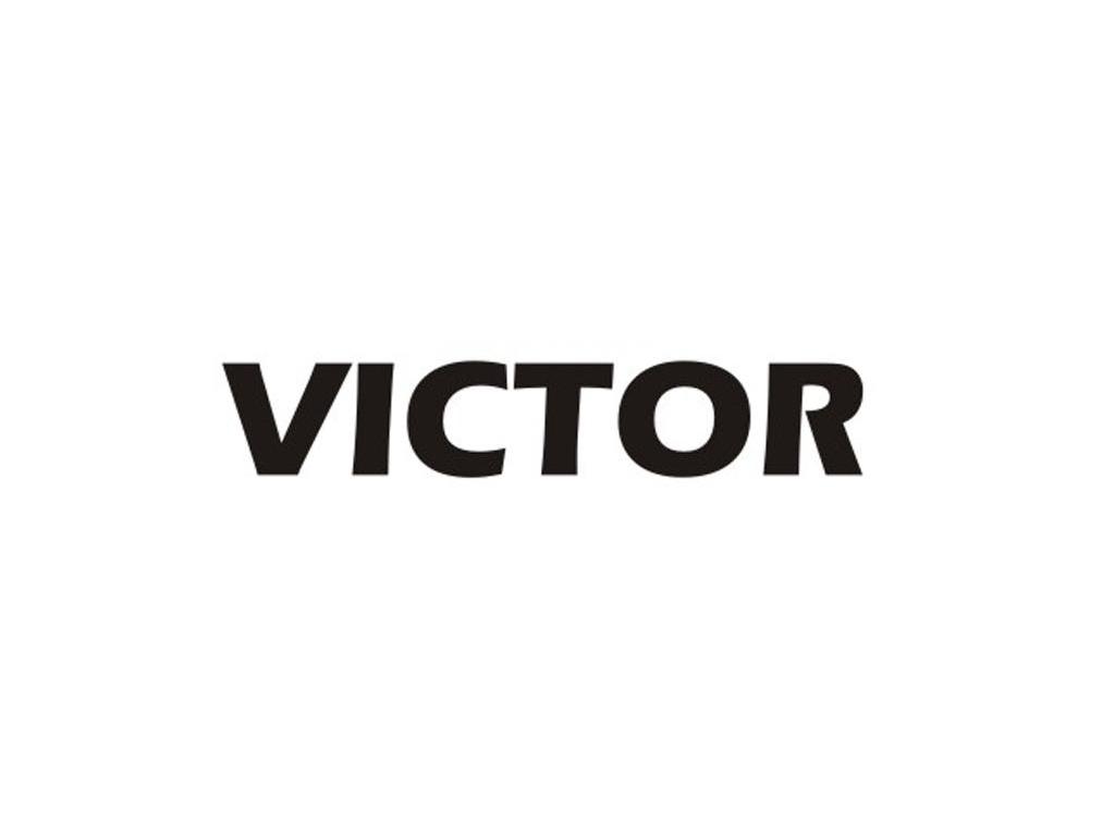 victor_注册号970555_商标注册查询 - 天眼查