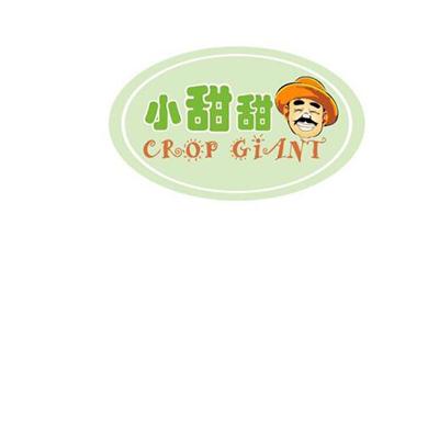 小甜甜