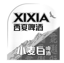 西夏啤酒 小麦白 啤酒 xixia