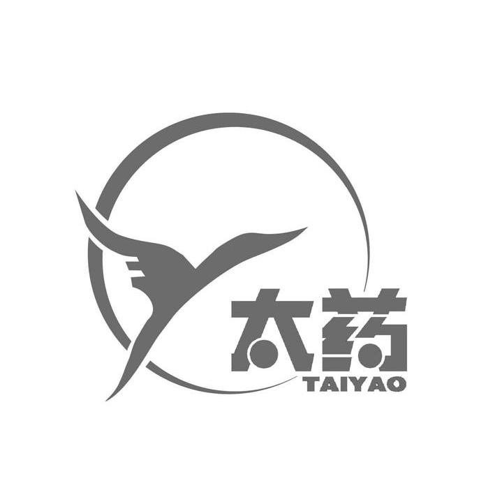 泰垚_注册号47318041_商标注册查询 - 天眼查