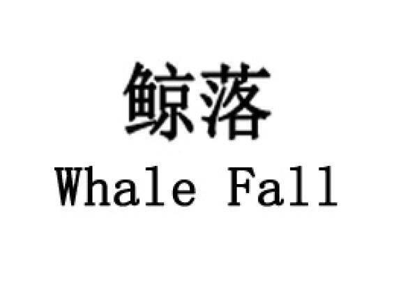 鲸落whale fall