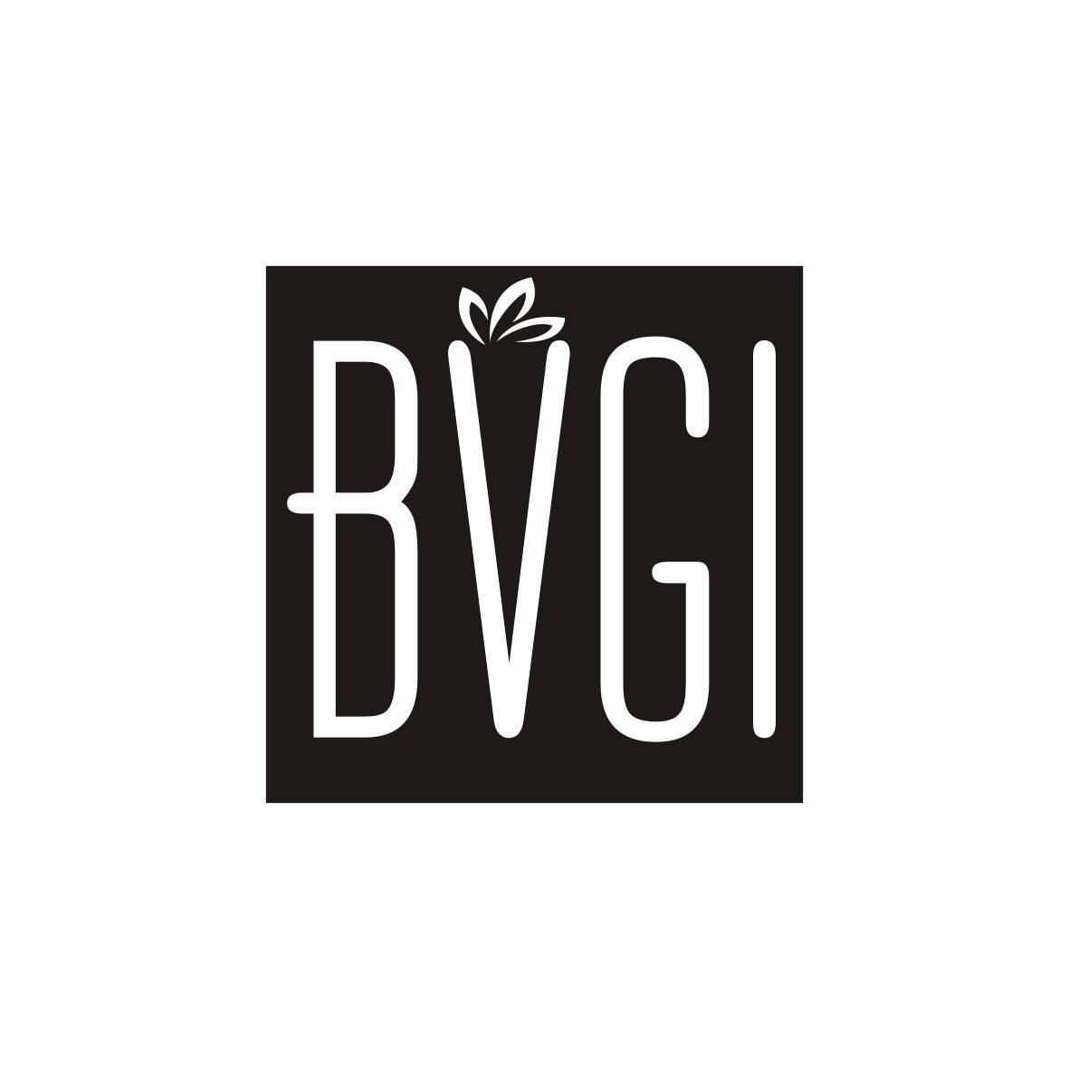 王惠侬商标BVGI（03类）商标转让多少钱？