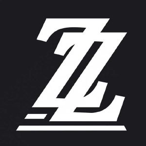 zz_注册号25679544_商标注册查询 - 天眼查