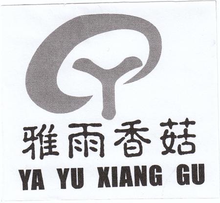 雅雨香菇
