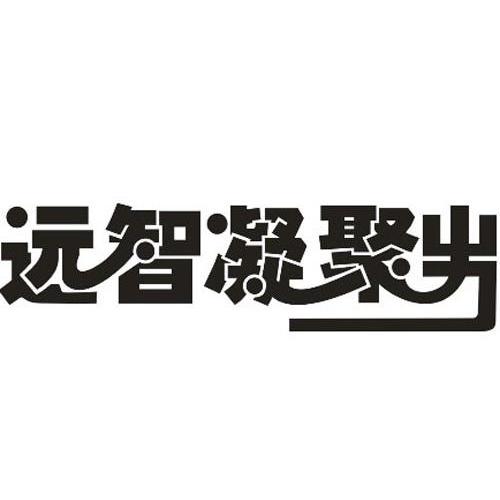 四川远智科技有限公司