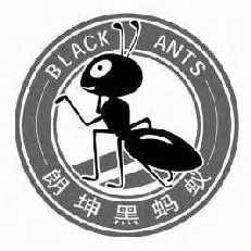 蚂蚁注册商标查询信息 - 商标分类信息 - 天眼查