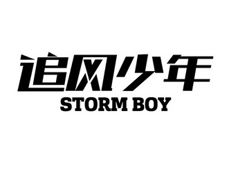 追风少年 storm boy