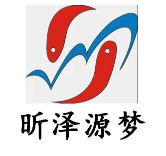 源梦logo图片