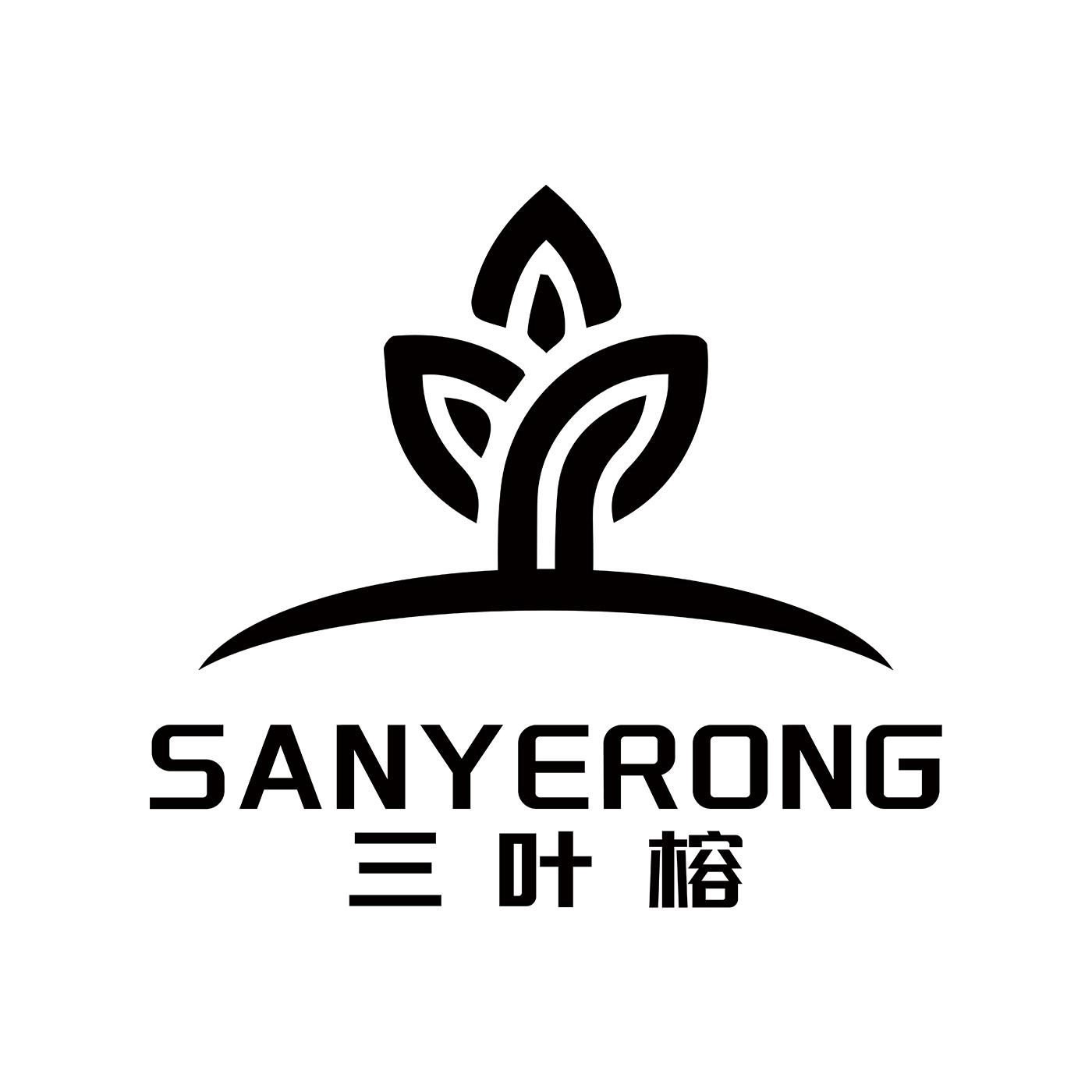 在手机上查看商标详情