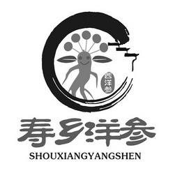 西洋参 寿乡洋参