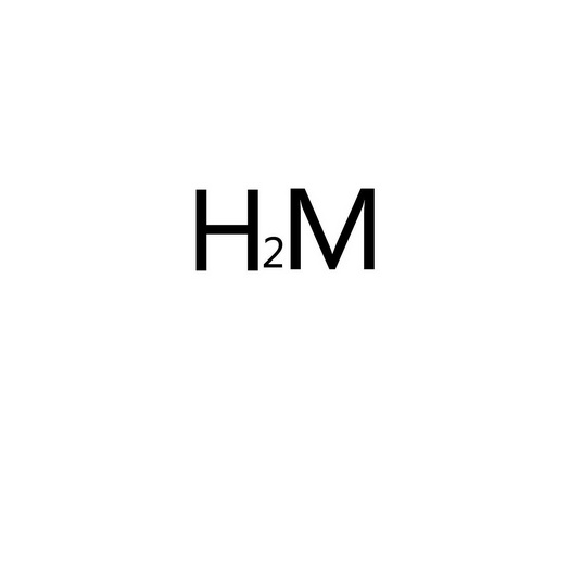 H2M