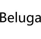 beluga