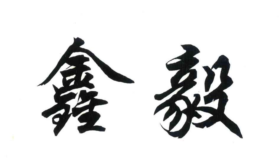 上海鑫毅服装有限公司