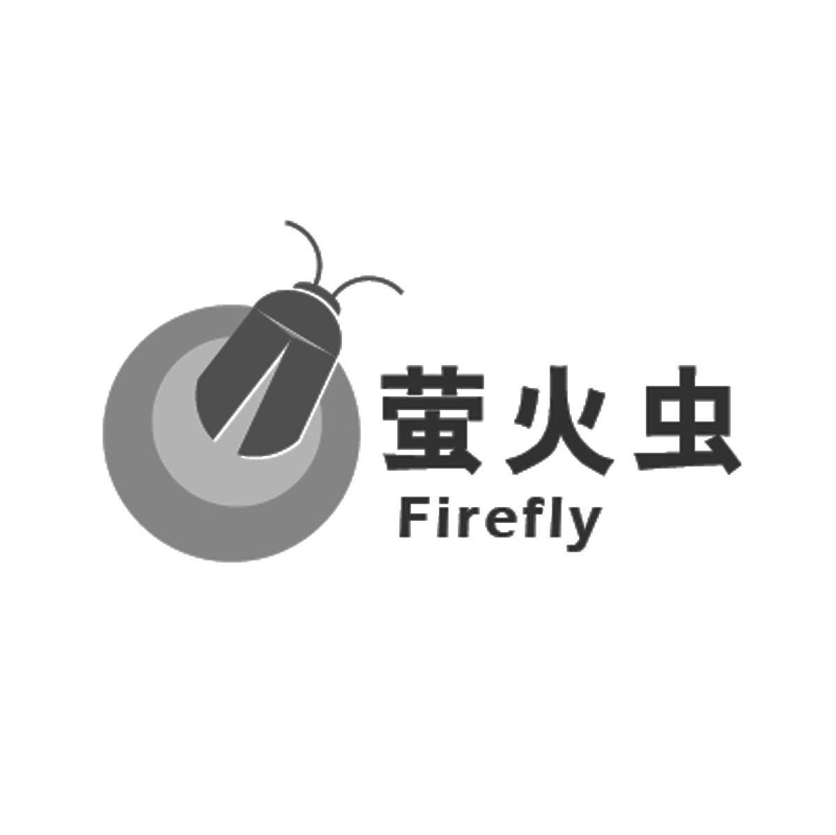 萤火虫 firefly