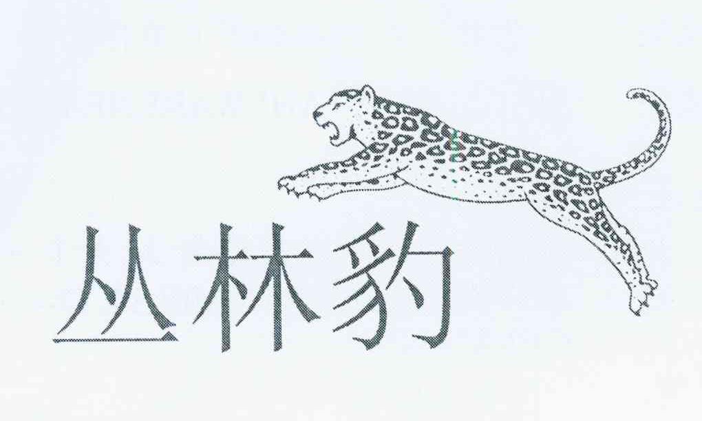 丛林豹