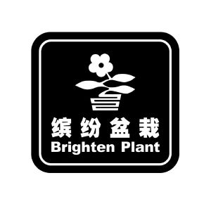 缤纷盆栽 brighten plant