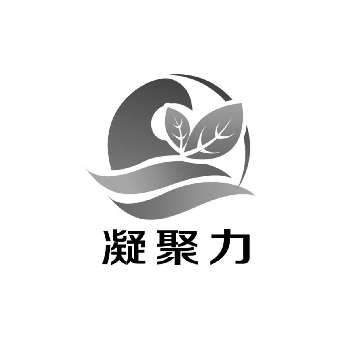 凝聚力logo图片