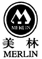 美林控股集团有限公司