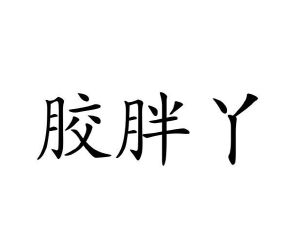 荀建伟商标胶胖丫（29类）商标转让流程及费用