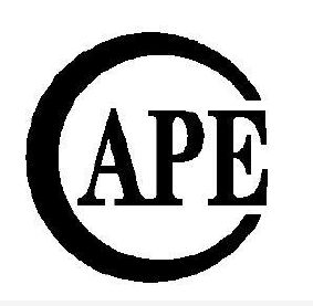 cape_注册号48390419_商标注册查询 - 天眼查