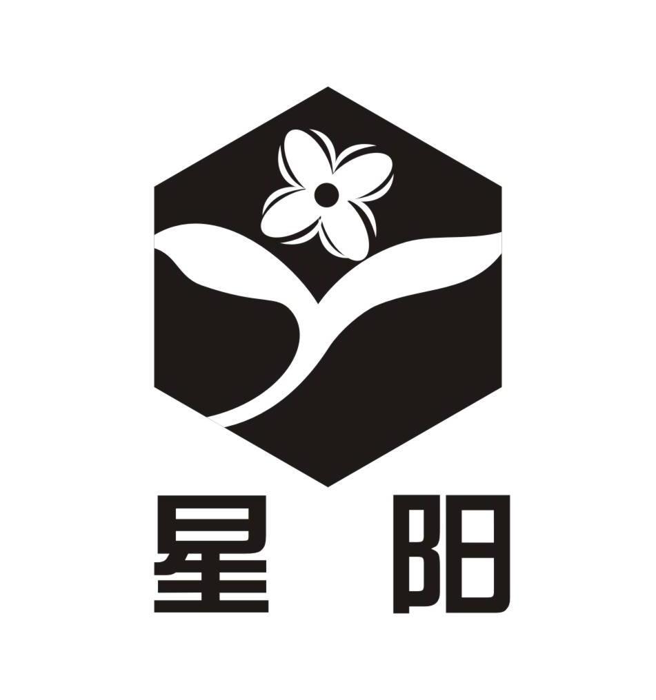 星阳