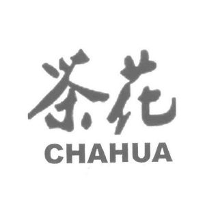 山茶花的样子logo图片