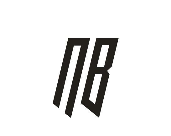 nb_注册号20650168_商标注册查询 - 天眼查